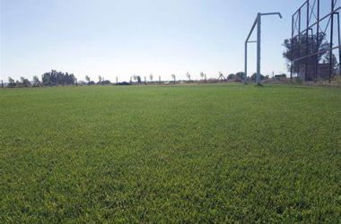 canchas canchas